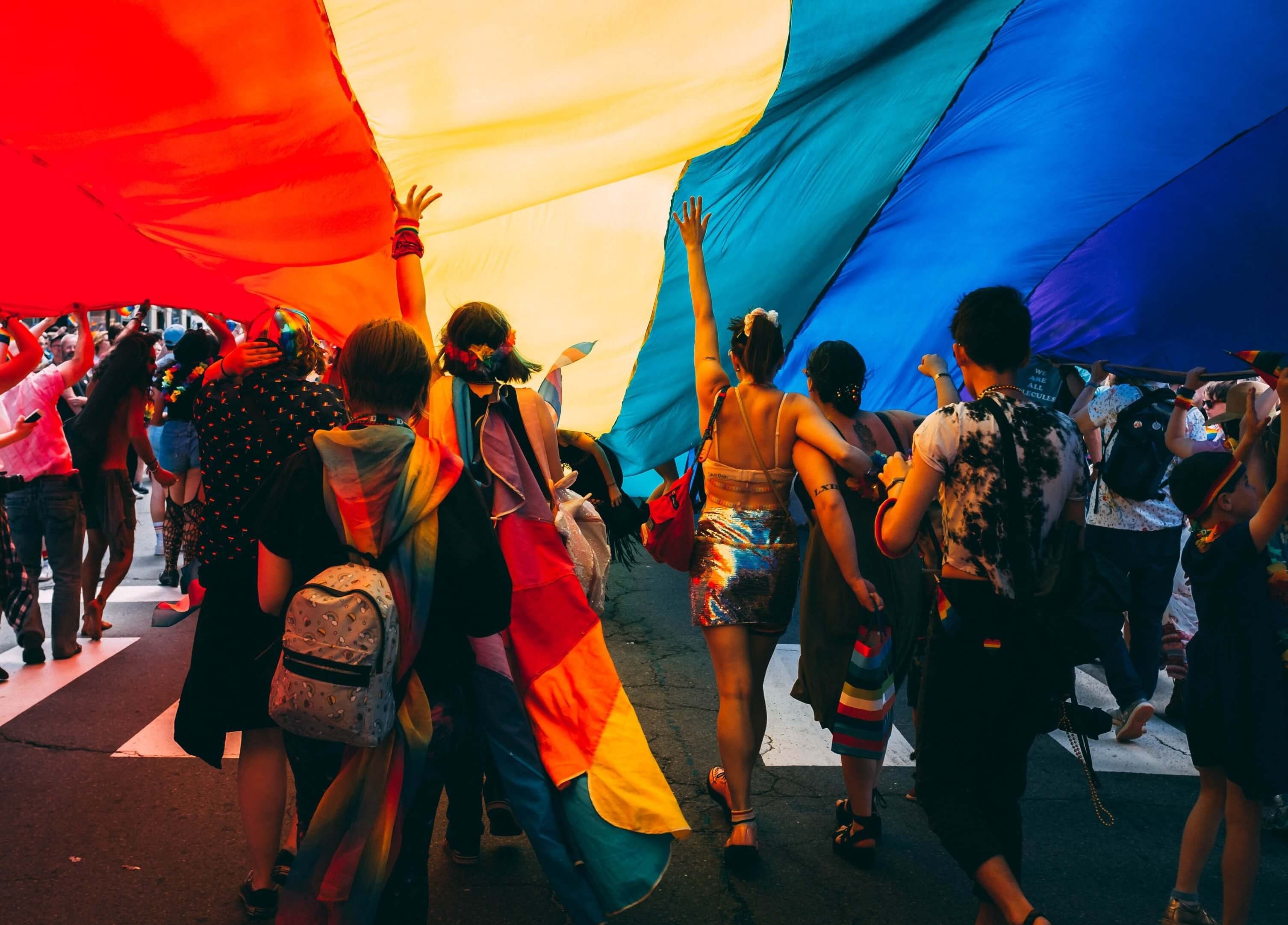 LGTBQIA+ ally - attend protest image